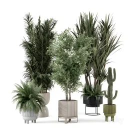 Indoor plants in ferm living bau pot large